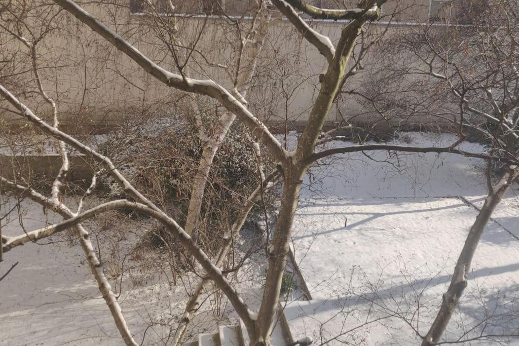 Appartement Studio Calme Et Lumineux, Parking Disponible, 100m De Nation *
